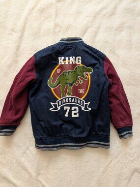 365 Kids Boys Dinosaur Academy Varsity Bomber Jacket – Size 4 Dinosaurcore T-Rex